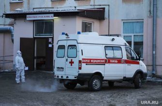 новые заболевшие в Курганской области